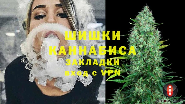 прущие крисы Козловка