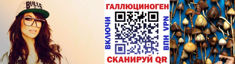 цена   кракен   Галлюциногенные грибы Cubensis  Краснозаводск 